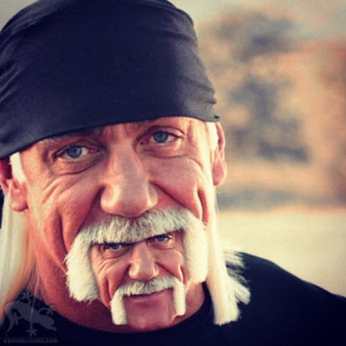 Jeste li videli kako jebe Hulk Hogan?