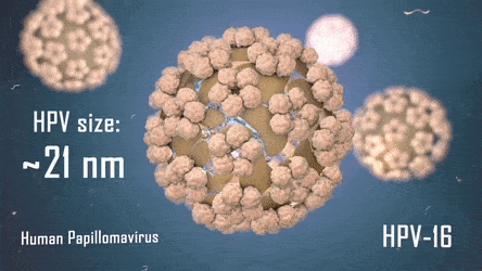 Besplatna HPV vakcina dostupna je u Novom Sadu
